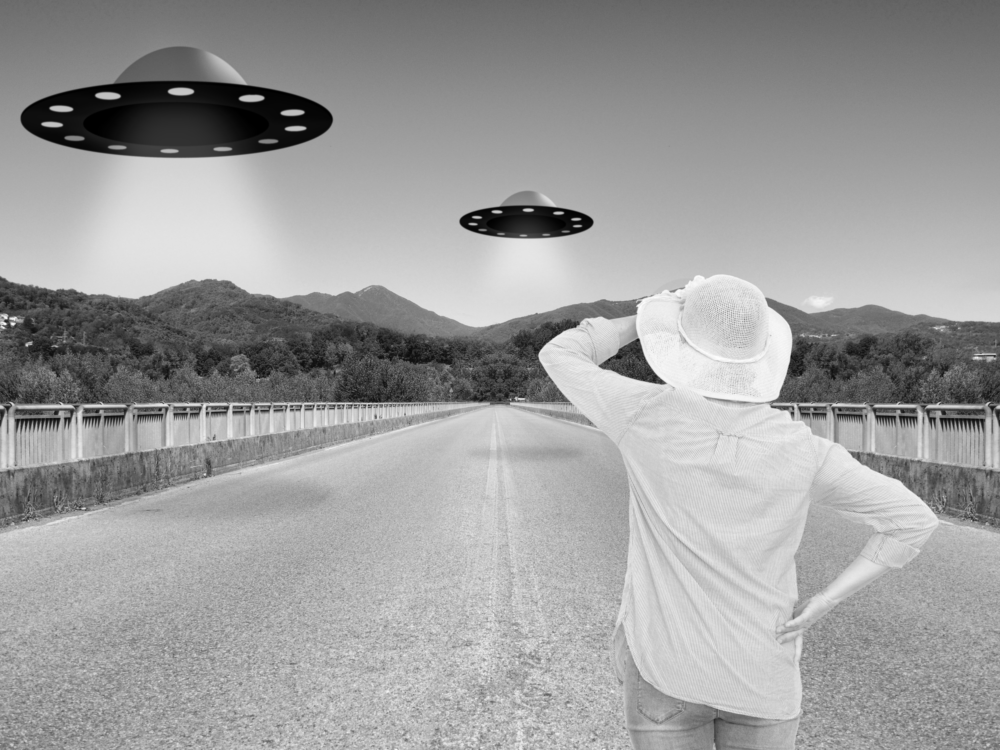 dreamstime m 113486295