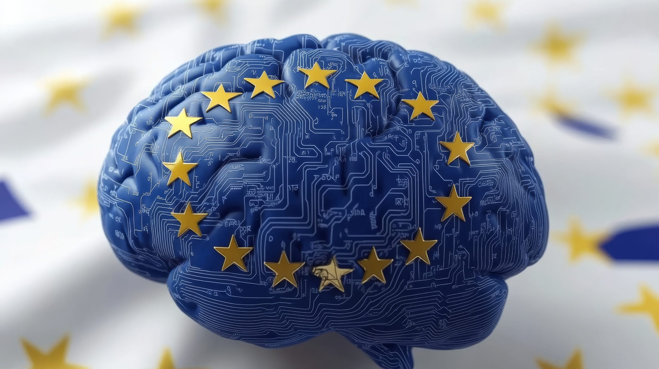 dreamstime l 345877670 scaled