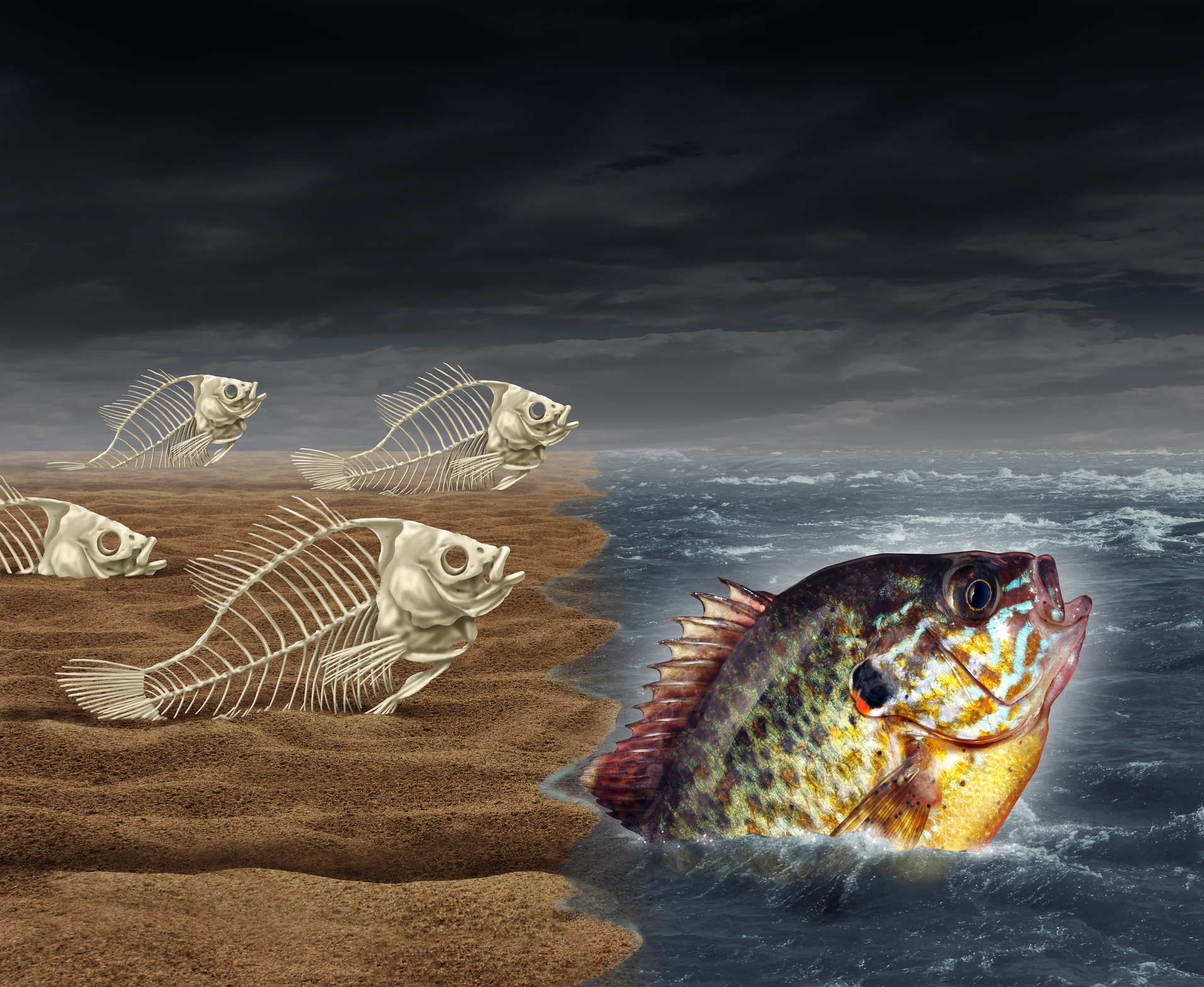 dreamstime m 52432006