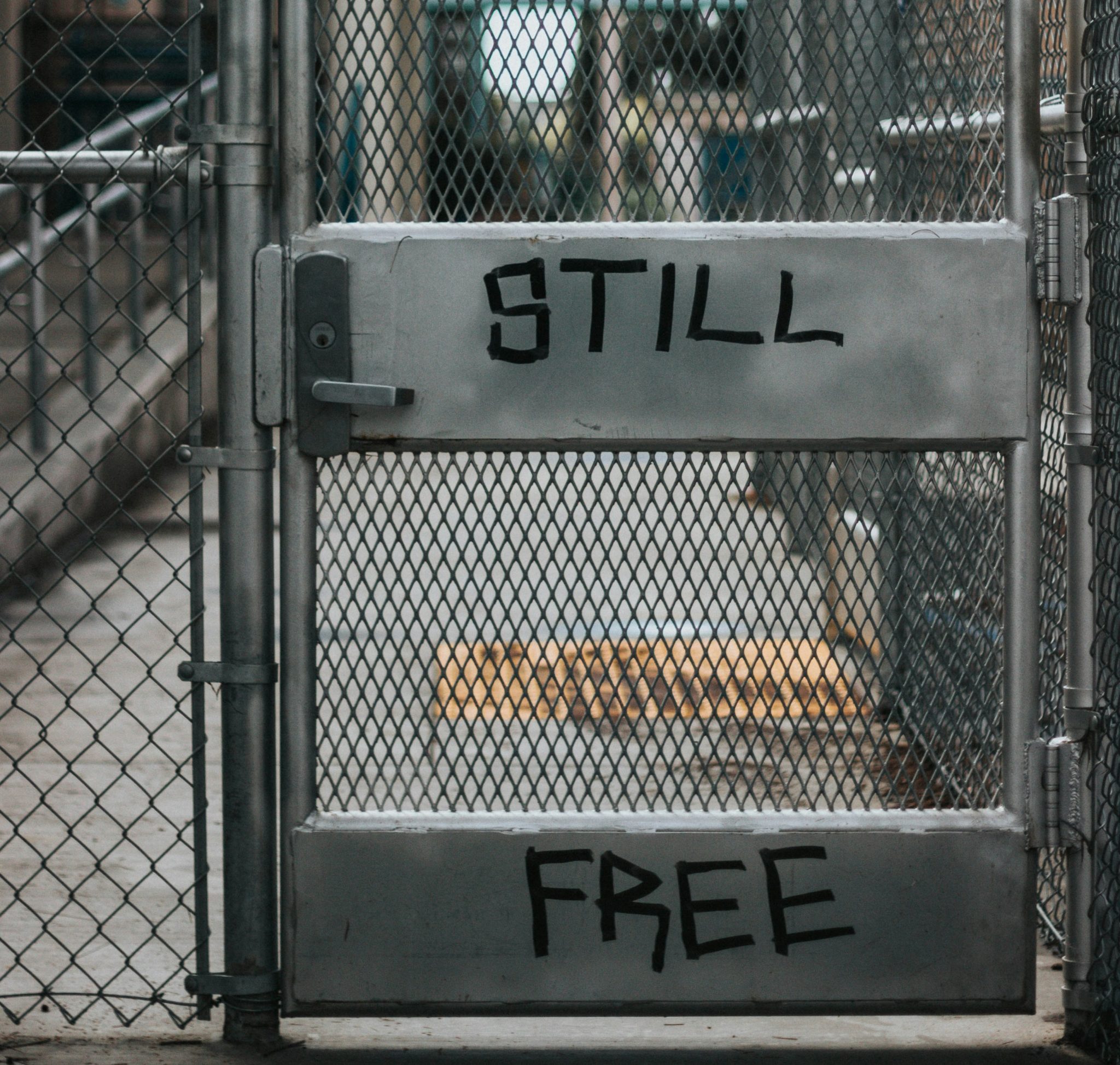 najib kalil LfMX2f9ABhg unsplash cropped