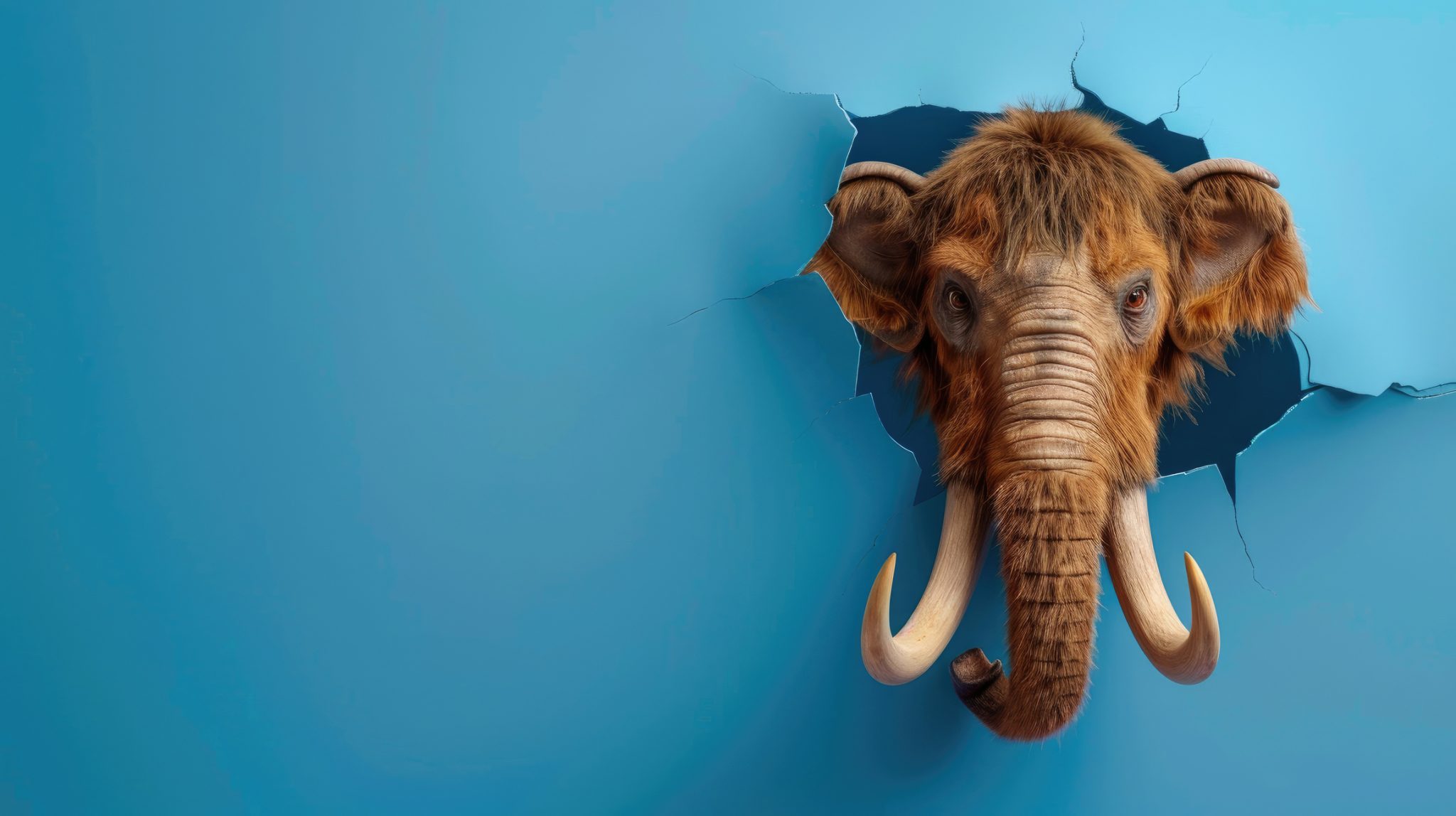 dreamstime m 331862187 1