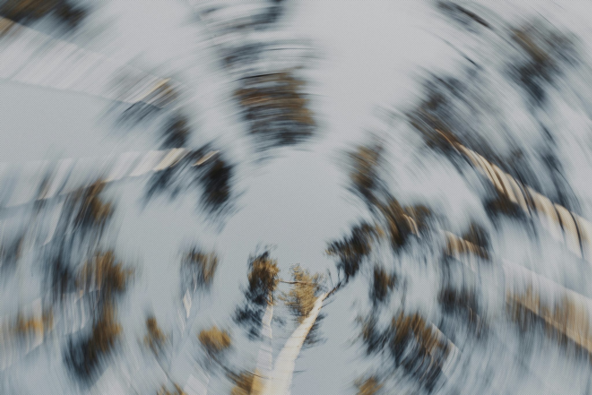 marjan blan wqwFFtjzK7I unsplash