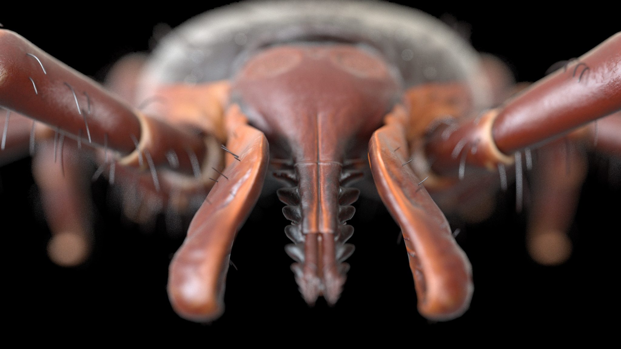 dreamstime m 127828835