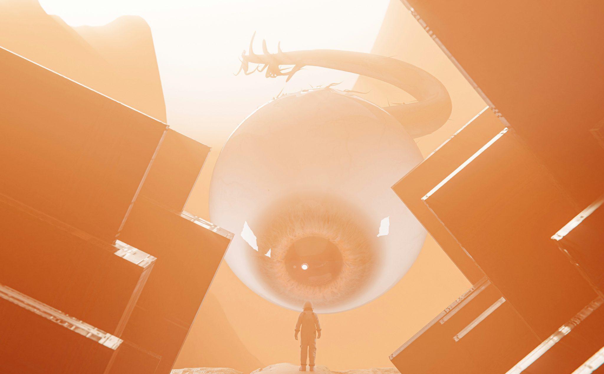 mohamed nohassi bOHI6EbVAsg unsplash