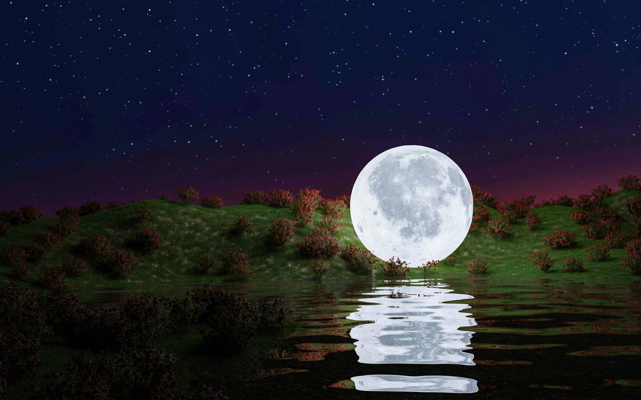 behnam mohsenzadeh A4FTwO6m5eM unsplash