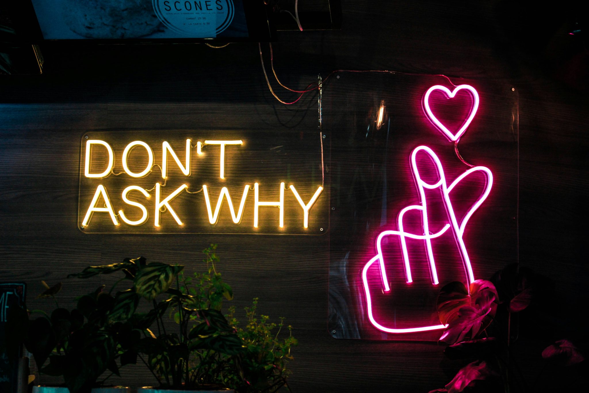 k x i t h v i s u a l s 4sPi16FTS9c unsplash