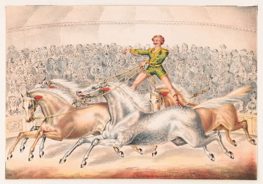 circus performer riding two horses at once