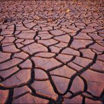 getty images LJRNxU9NMU4 unsplash