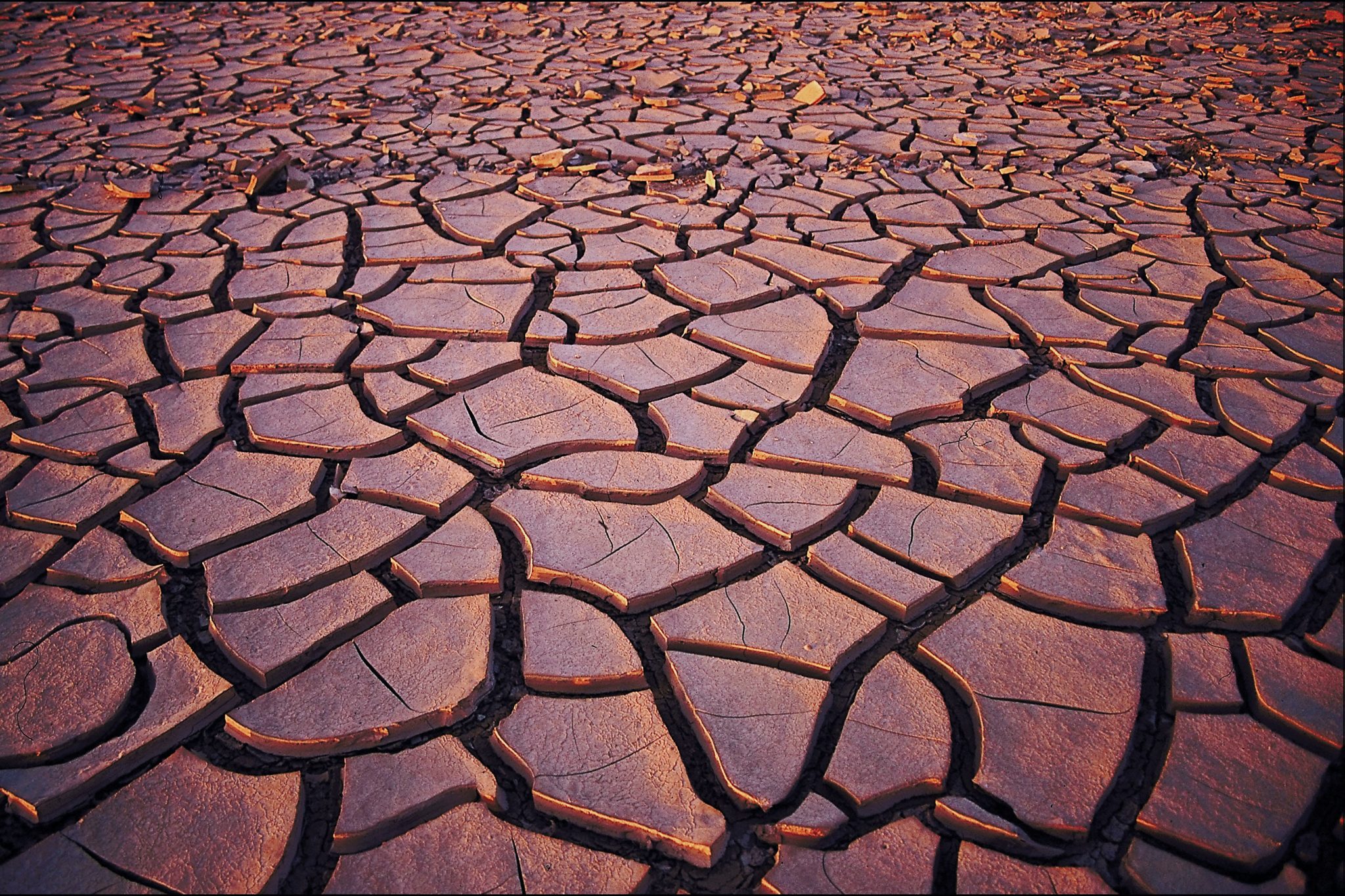 getty images LJRNxU9NMU4 unsplash