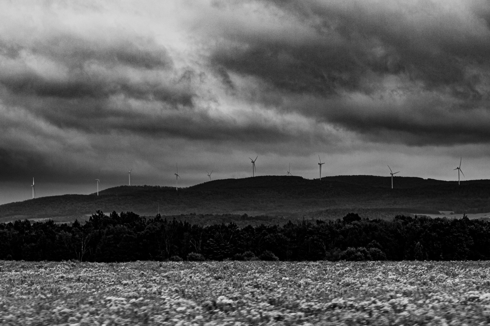 richie bettencourt ZVU4u0Nlpuo unsplash