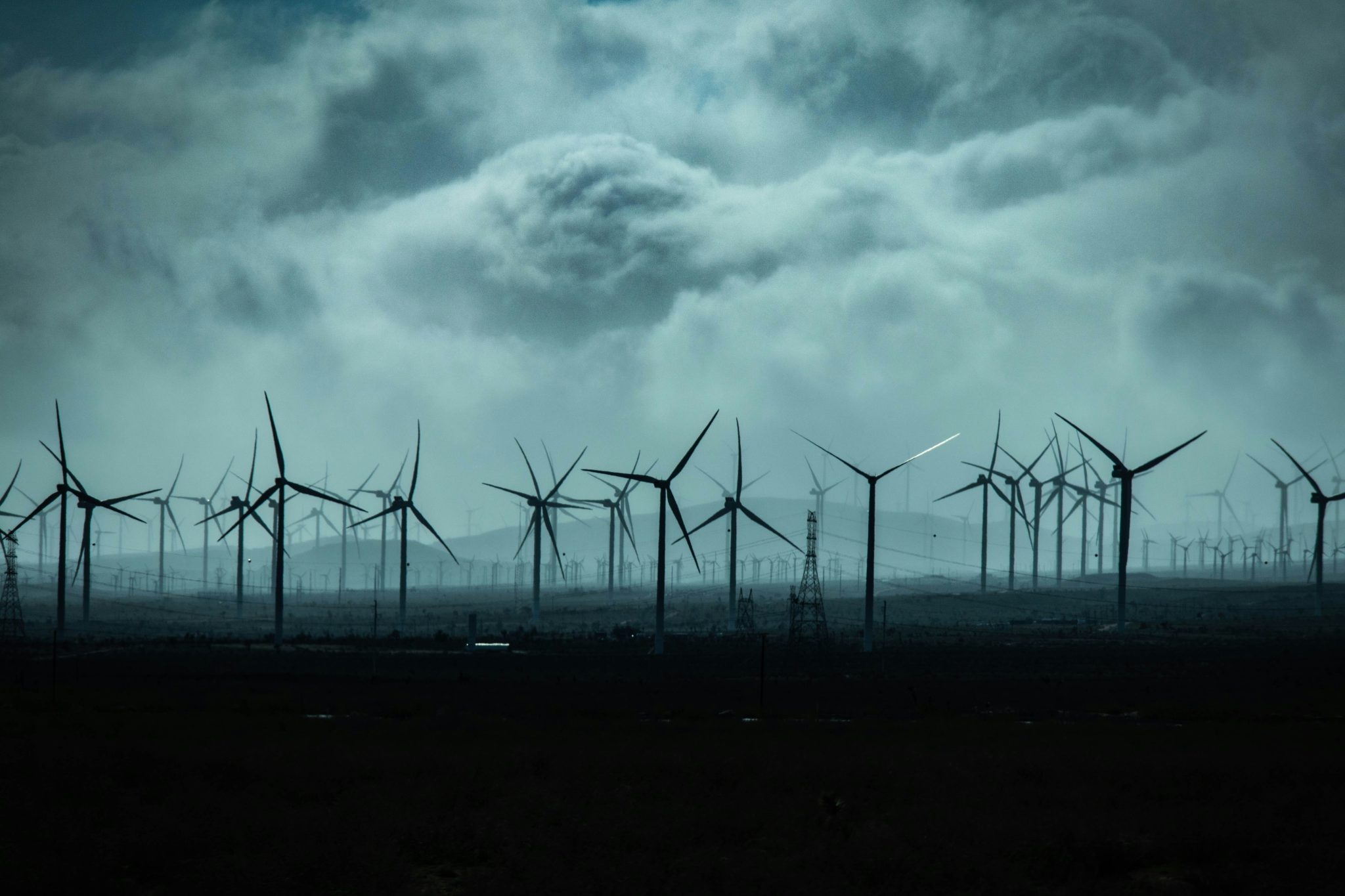 cristiano firmani FZ1VgVioY2o unsplash