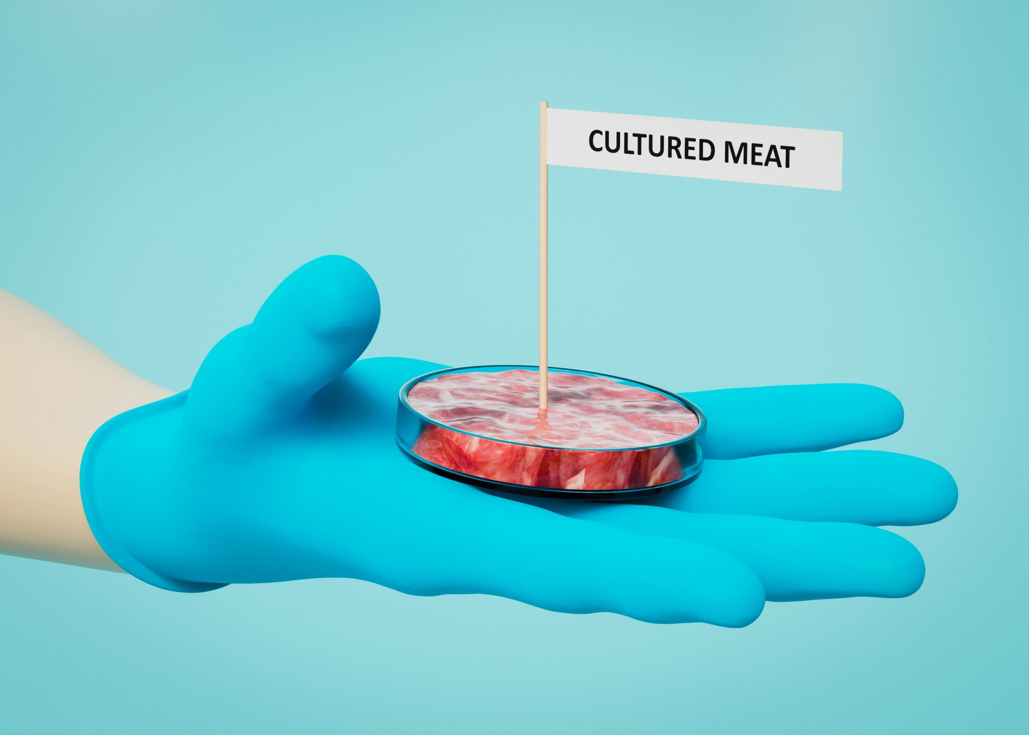 point normal J3I7ugWpbVY unsplash