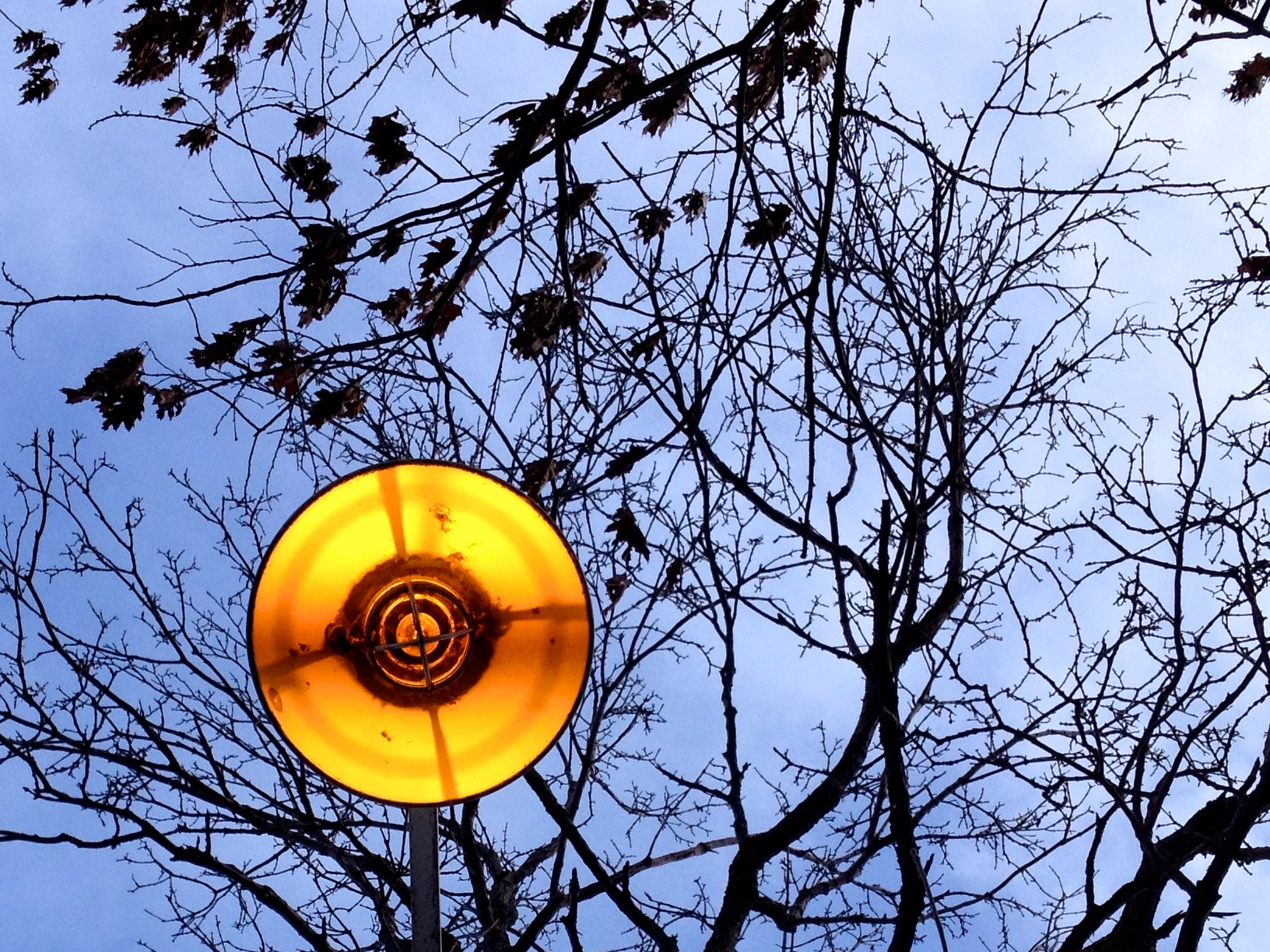 2012 366 5 glowing disc 6648185629 02a1e9