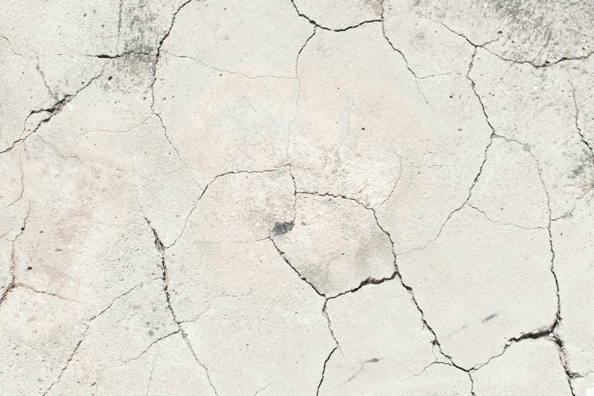 elantro 2neU5zFvJBc unsplash