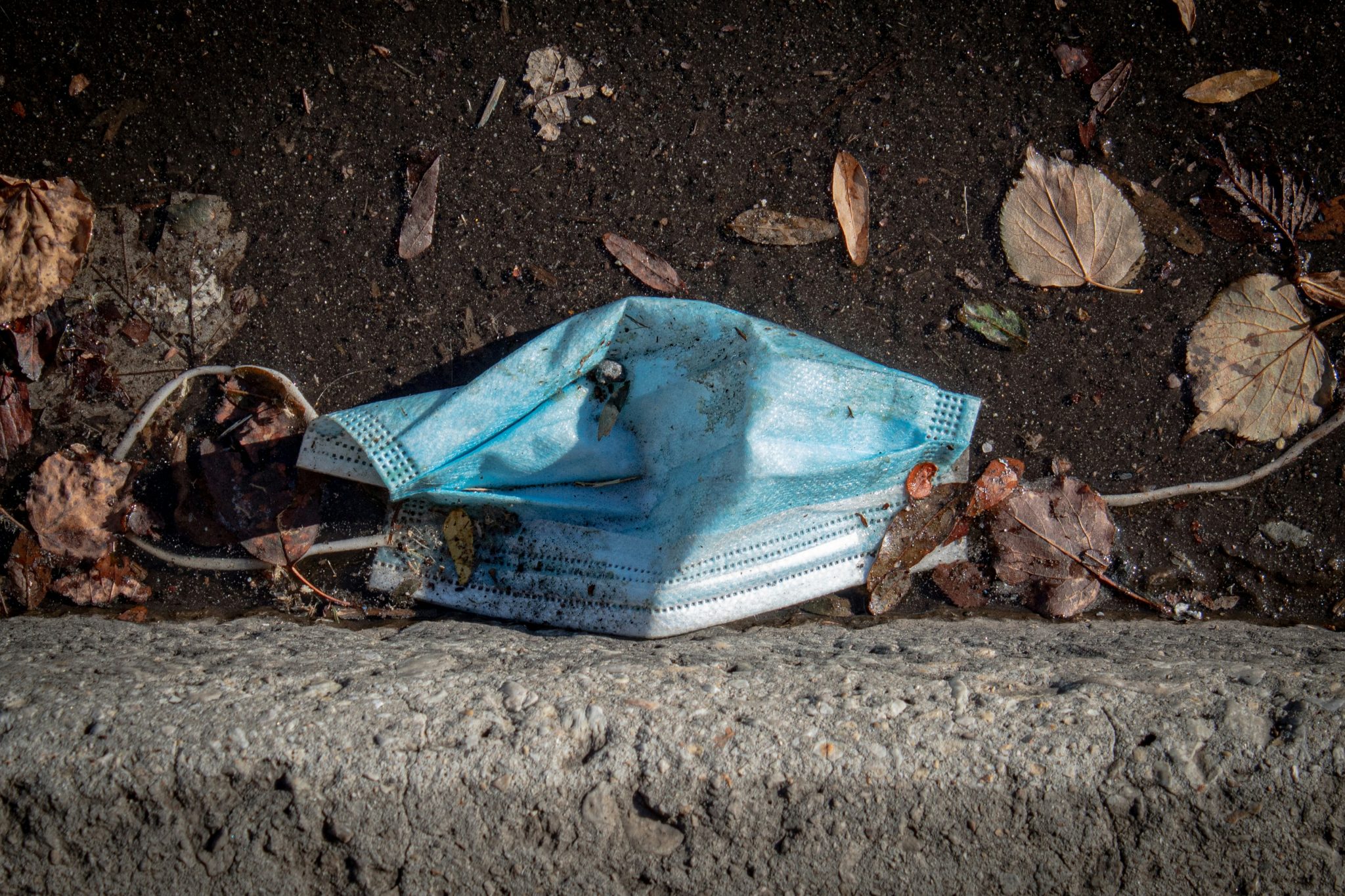 elizabeth mcdaniel kF6Ay3Nk d4 unsplash