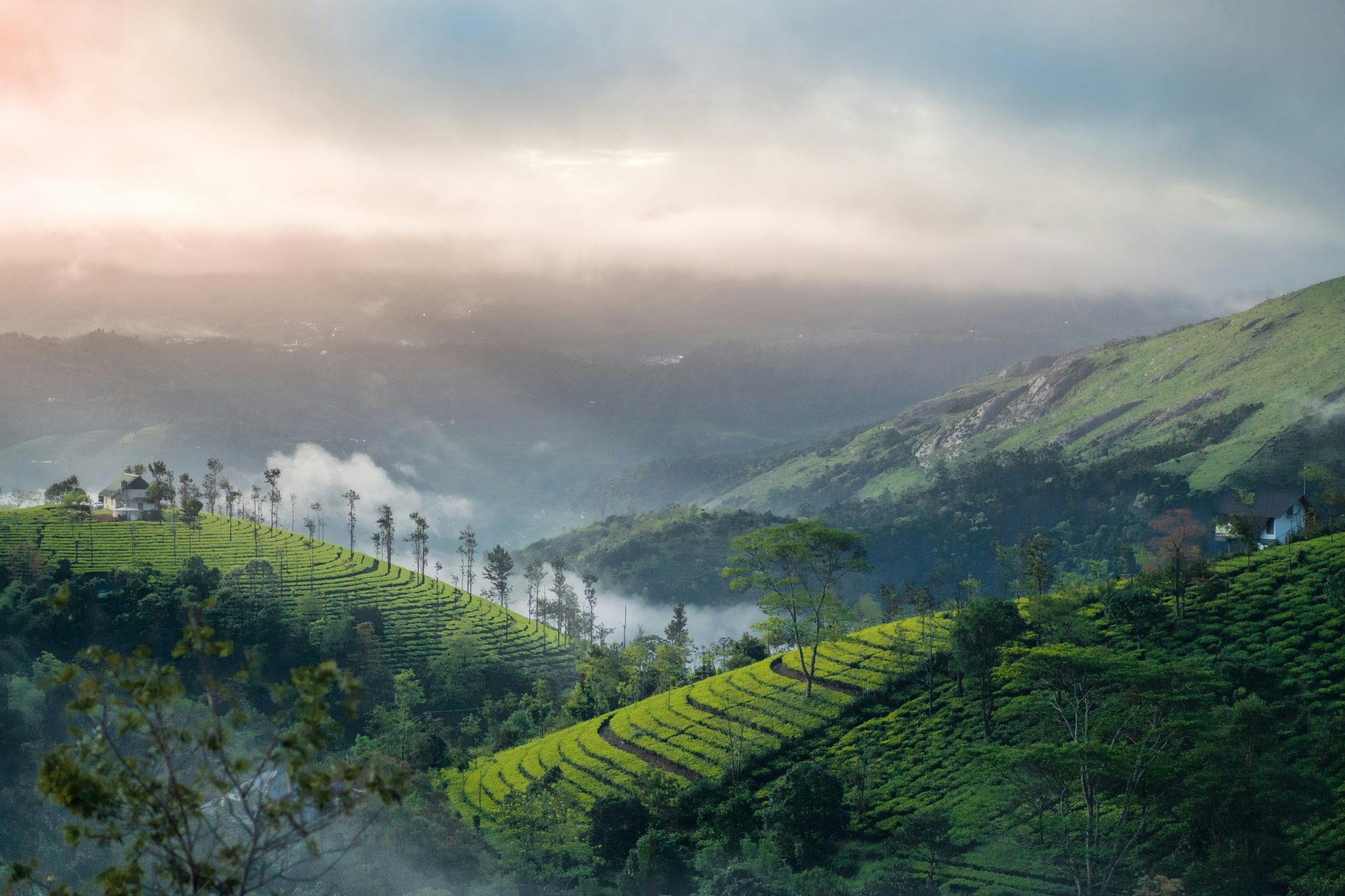 nandhu kumar TwYX EQRXQQ unsplash